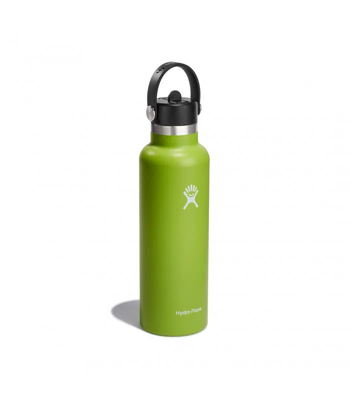 21 OZ STANDARD WITH FLEX STRAW CAP SEAGRASS