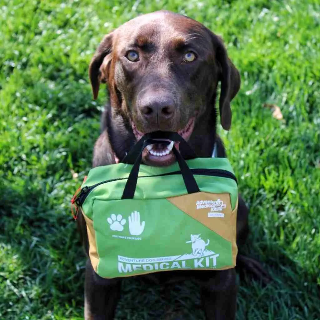 Adventure Dog Medical Kit - Me & My Dog