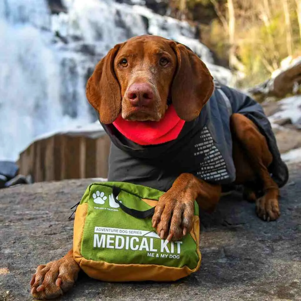 Adventure Dog Medical Kit - Me & My Dog