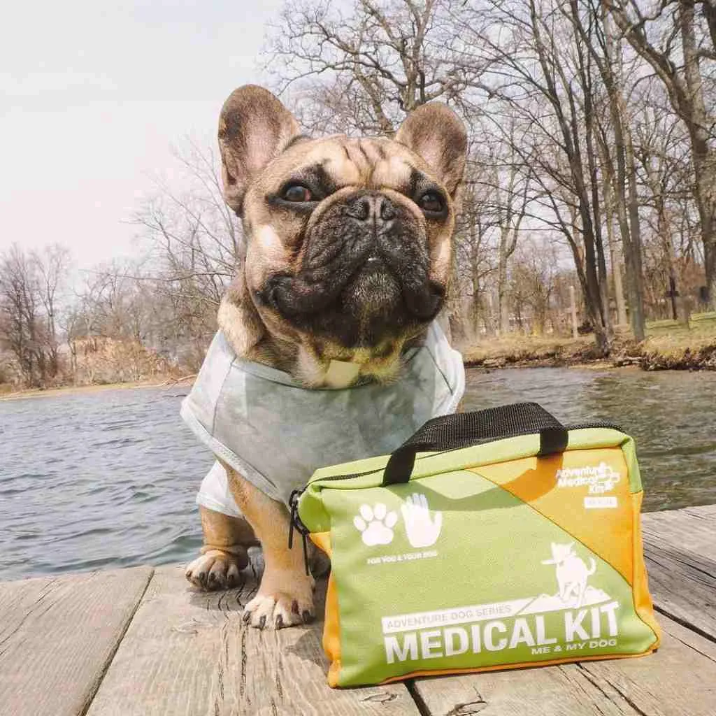 Adventure Dog Medical Kit - Me & My Dog