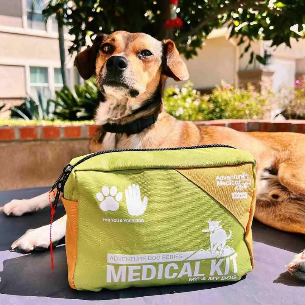 Adventure Dog Medical Kit - Me & My Dog
