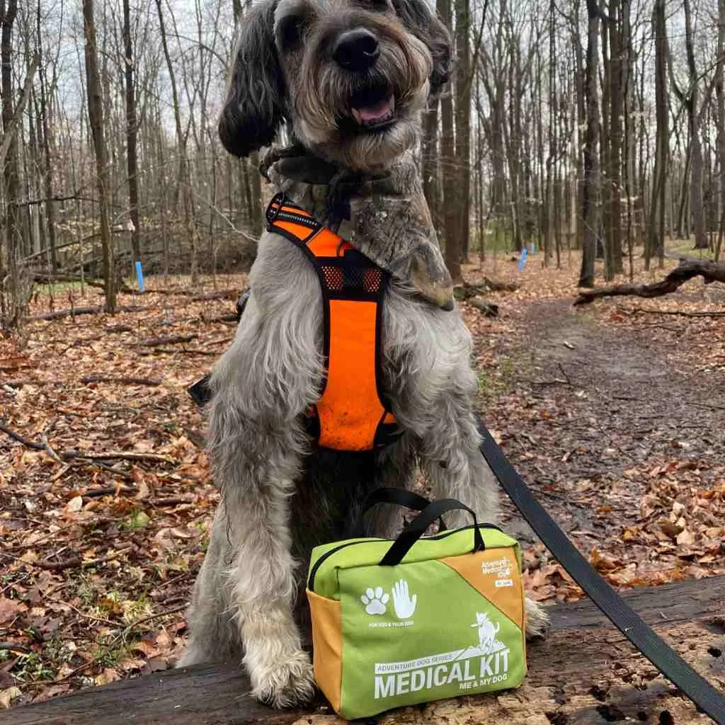 Adventure Dog Medical Kit - Me & My Dog