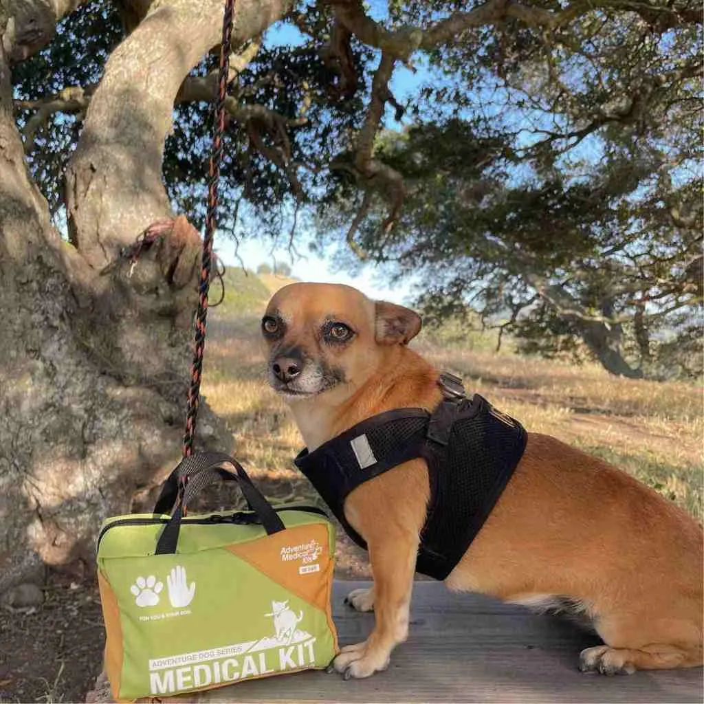Adventure Dog Medical Kit - Me & My Dog