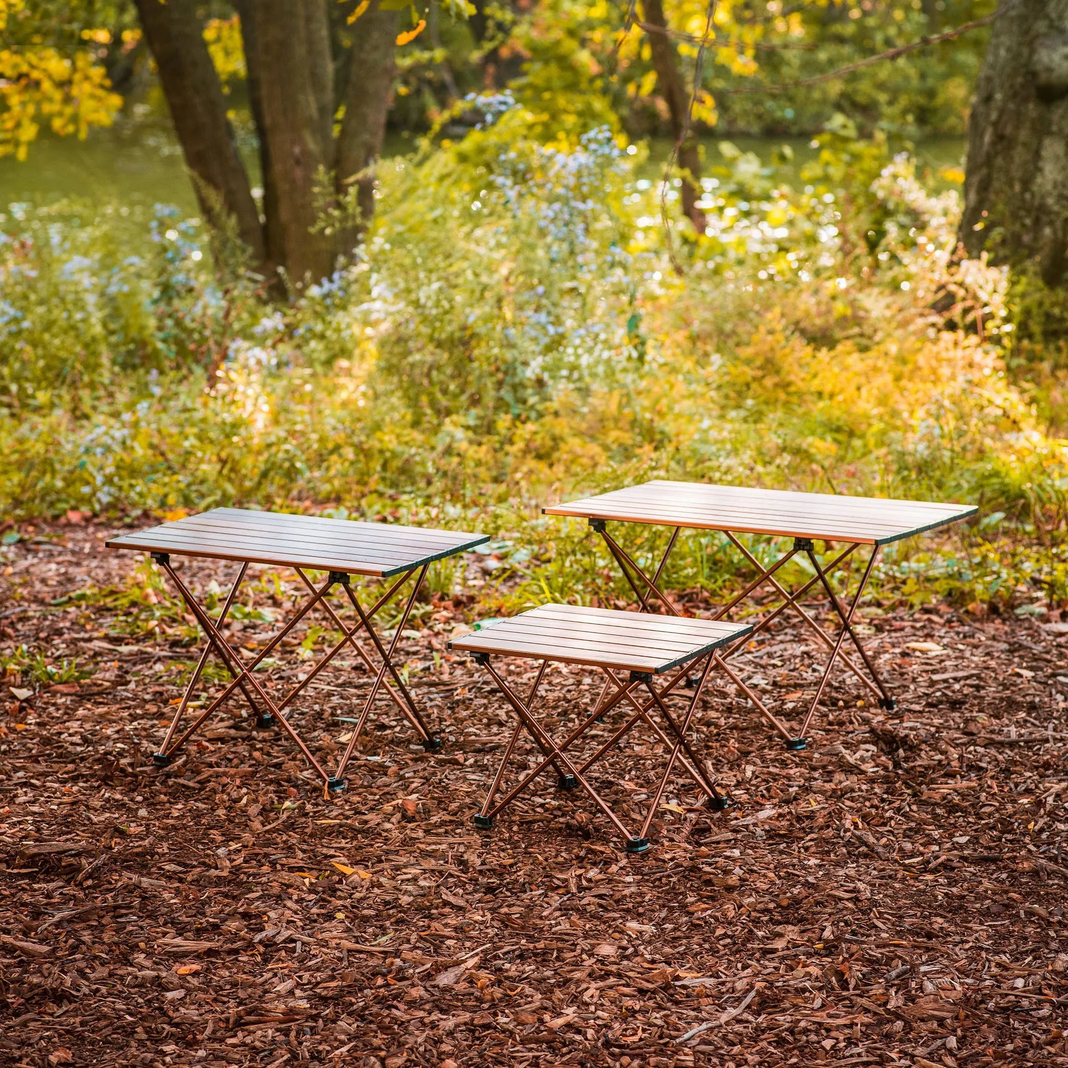 Alpcour Portable Collapsible Camping Table