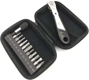 Bike Repair Kit, Allen and Torx Bits, Ratchet Wrench, Magnetic Holder, Compact Case, for Cyclists, DIY Enthusiasts, and Bike Maintenance