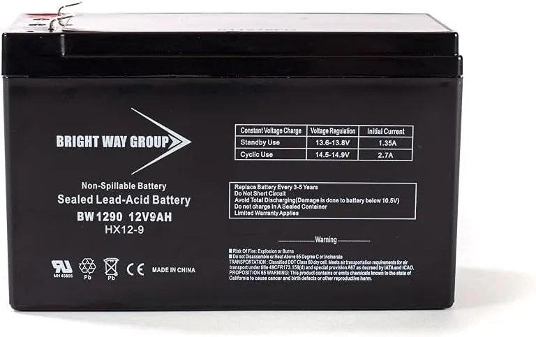 Bright Way Replacement Battery for Liebert Nfinity one NBATTMOD 12V 9AH F2 UPS Battery