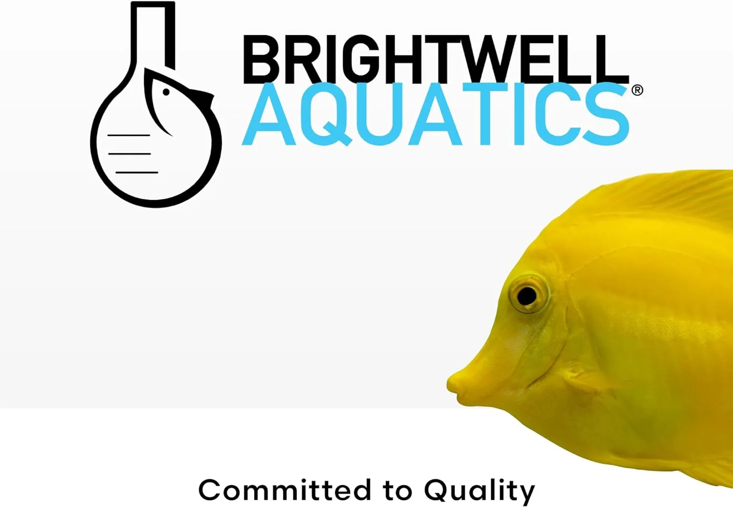 Brightwell Aquatics MicroBacter Start XLF - Concentrated Freshwater Nitrifying Bacteria - Quick Start Fish Tank Starter, Lift Microbe Levels & Water Filtering - Aquarium Water Treatments, 33.8 fl oz