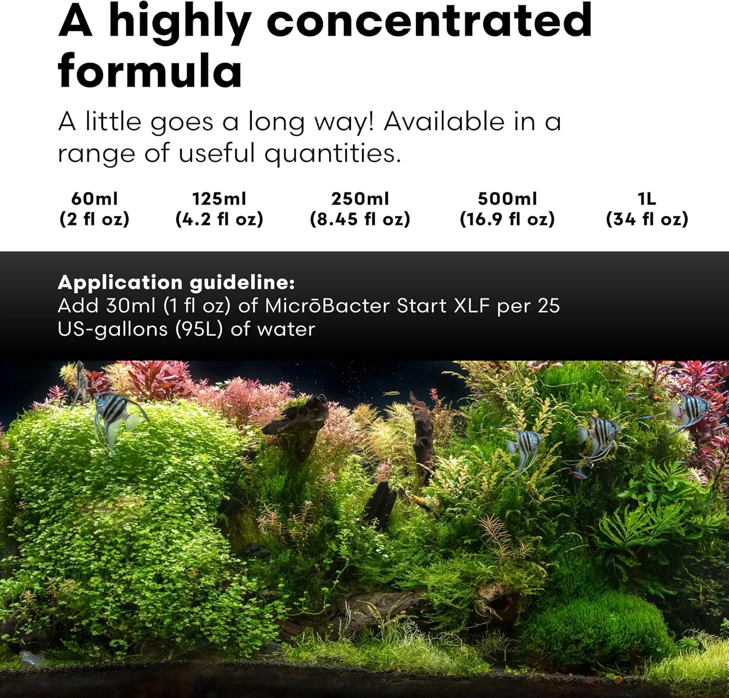 Brightwell Aquatics MicroBacter Start XLF - Concentrated Freshwater Nitrifying Bacteria - Quick Start Fish Tank Starter, Lift Microbe Levels & Water Filtering - Aquarium Water Treatments, 4.22 fl oz