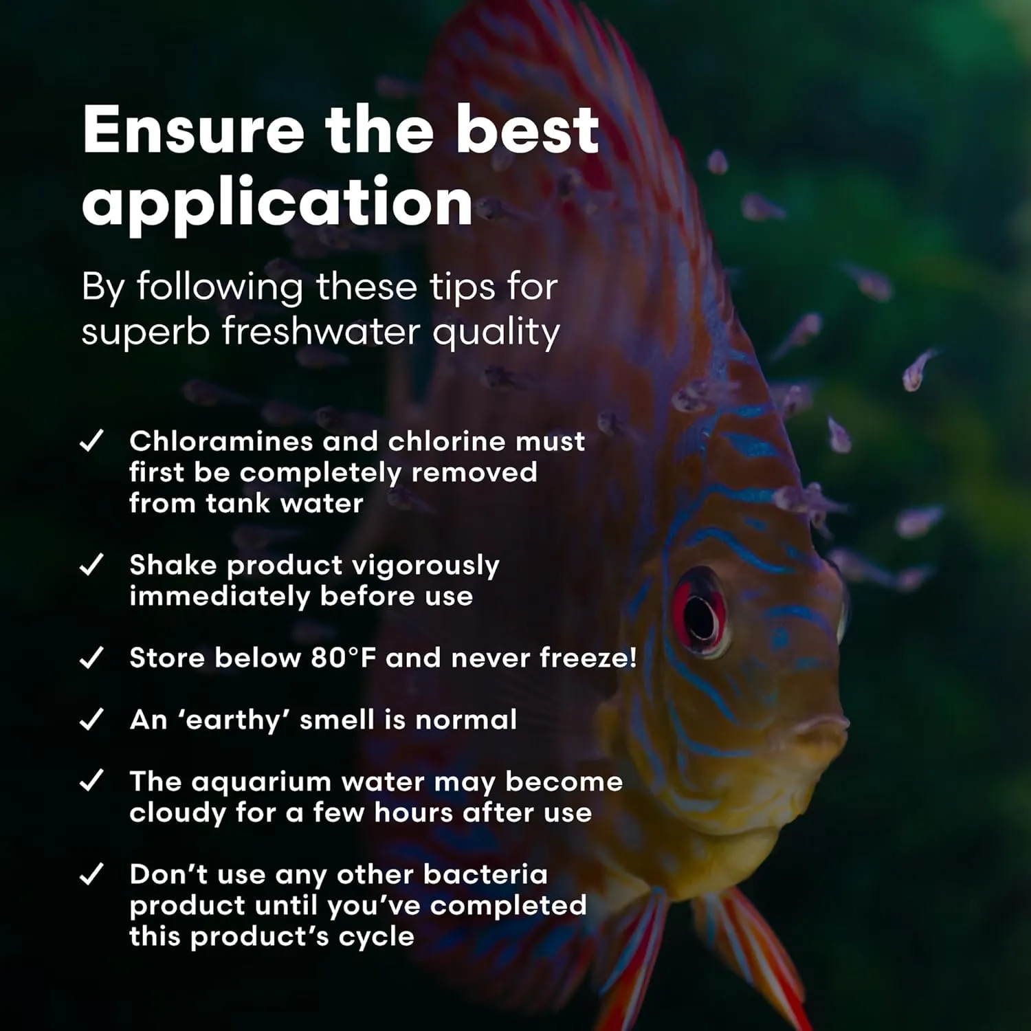 Brightwell Aquatics MicroBacter Start XLF - Concentrated Freshwater Nitrifying Bacteria - Quick Start Fish Tank Starter, Lift Microbe Levels & Water Filtering - Aquarium Water Treatments, 4.22 fl oz