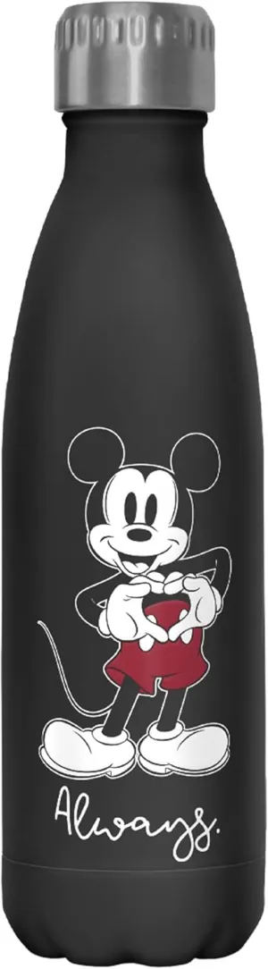 Disney Always Forever 17 oz Stainless Steel Water Bottle, 17 Ounce, Multicolored