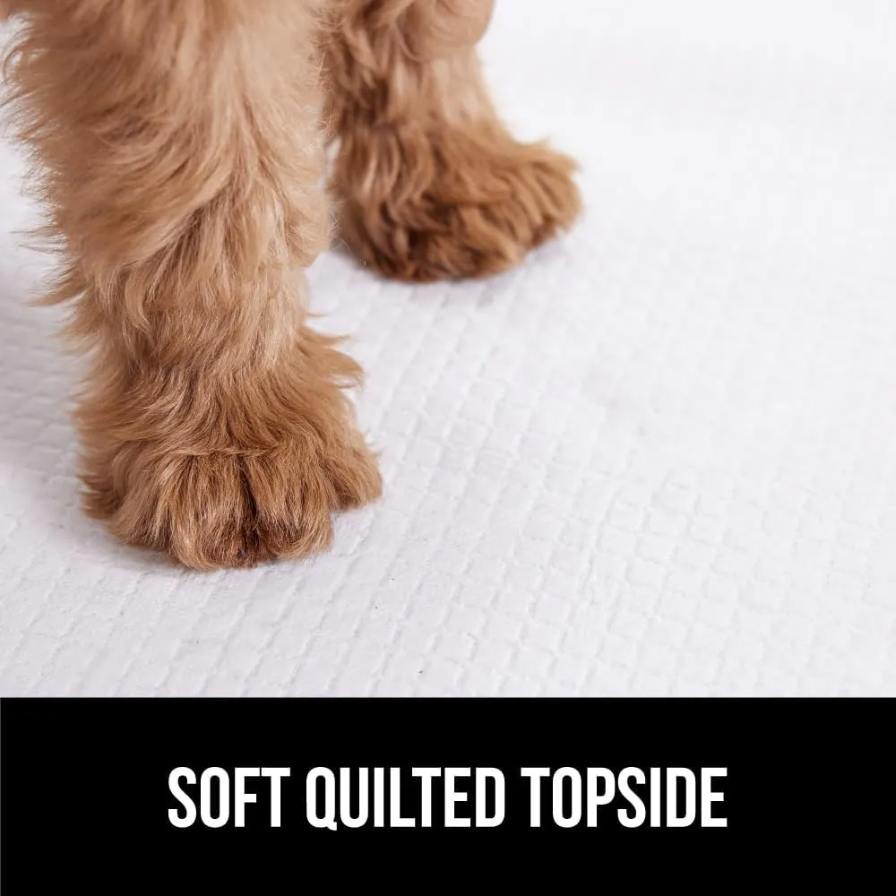 Gorilla Guard Disposable Puppy Pads, 100 Count 22x22 in, 5 Layer Pee Pads for Dogs, Absorbent Diaper Changing Pad, Dog Potty Training Supplies, Quick Dry Pet Housebreaking Essentials for Puppies