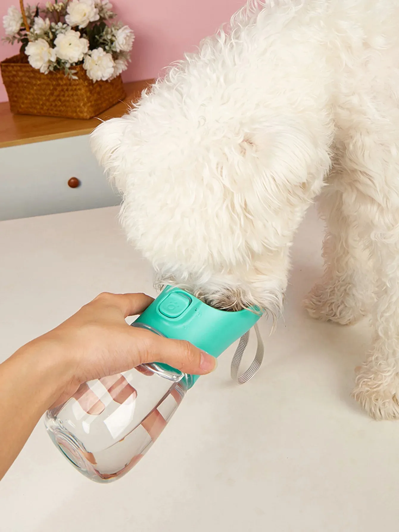 Pet portable water bottle