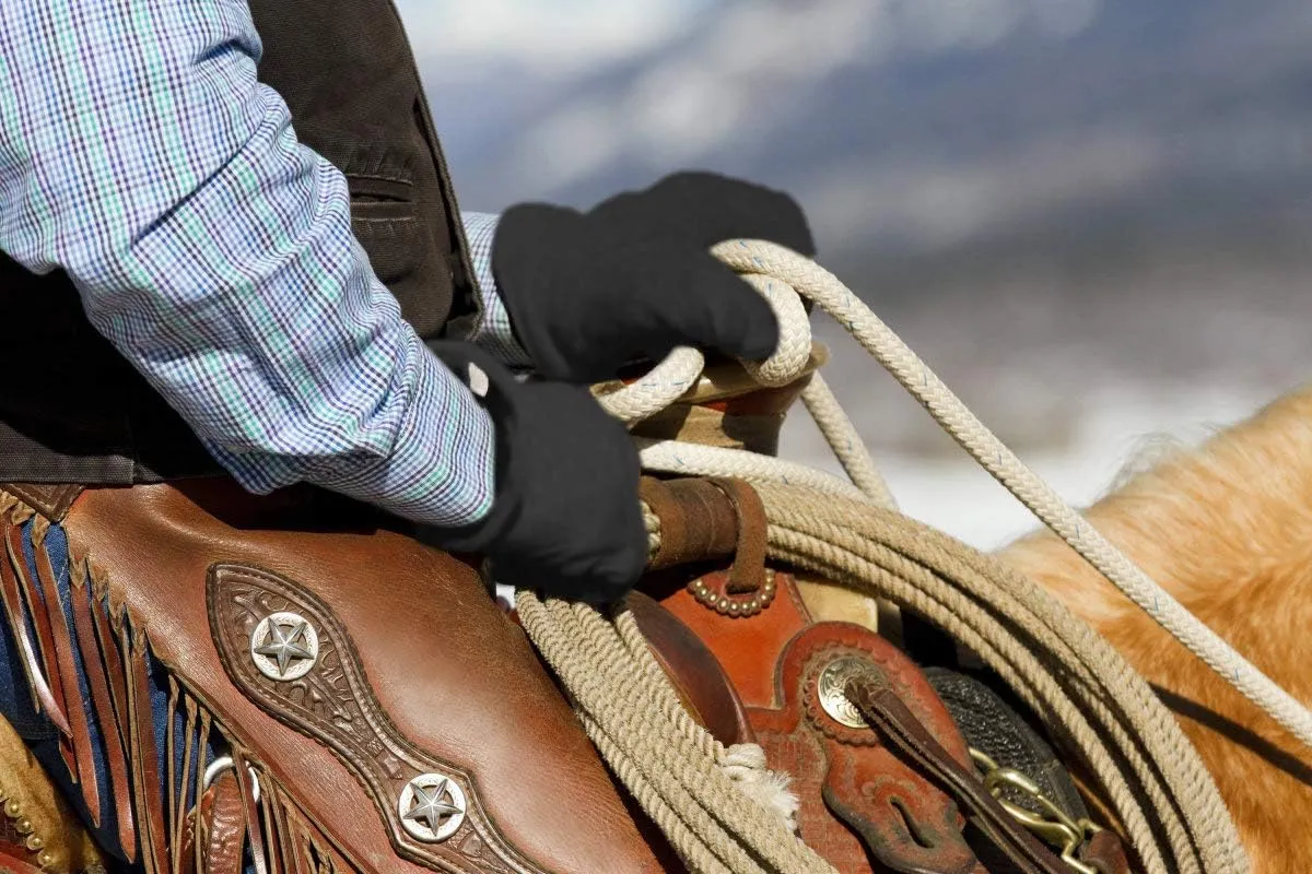 SKYDEER 3M Thinsulate Thermal Winter Work Gloves with Windproof Premium Genuine Deerskin Suede Leather (Unisex)