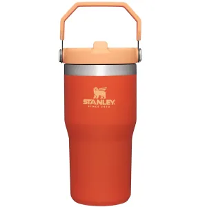 Stanley IceFlow™ Flip Straw Tumbler | 20 OZ