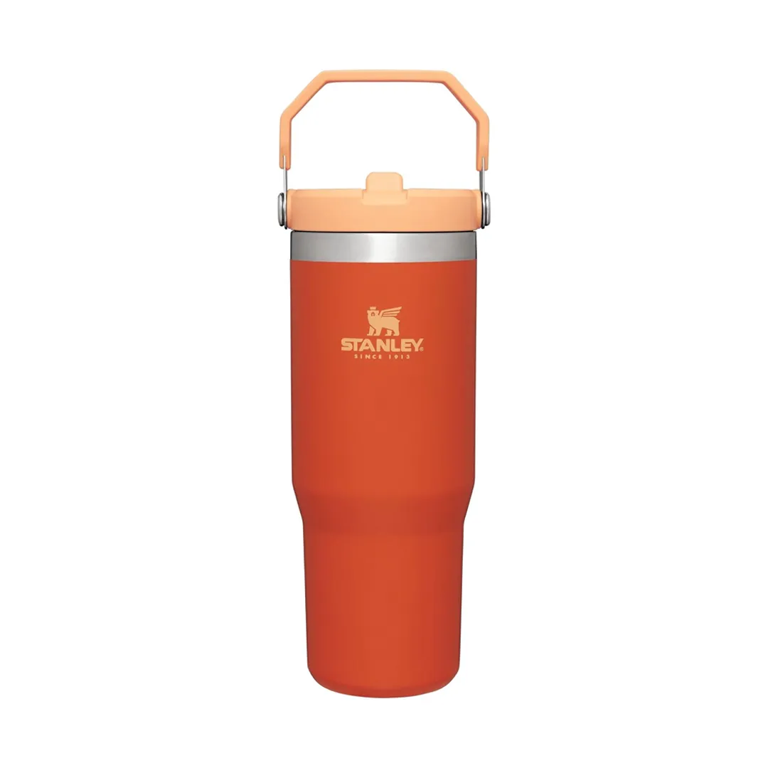 Stanley IceFlow Flip Straw Tumbler - 30oz