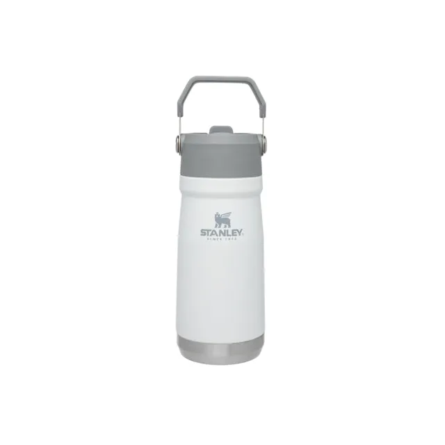 The Iceflow Flip Straw Water Bottle 17 Oz