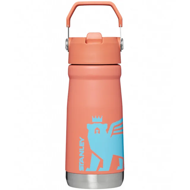 The Iceflow Flip Straw Water Bottle 17 Oz