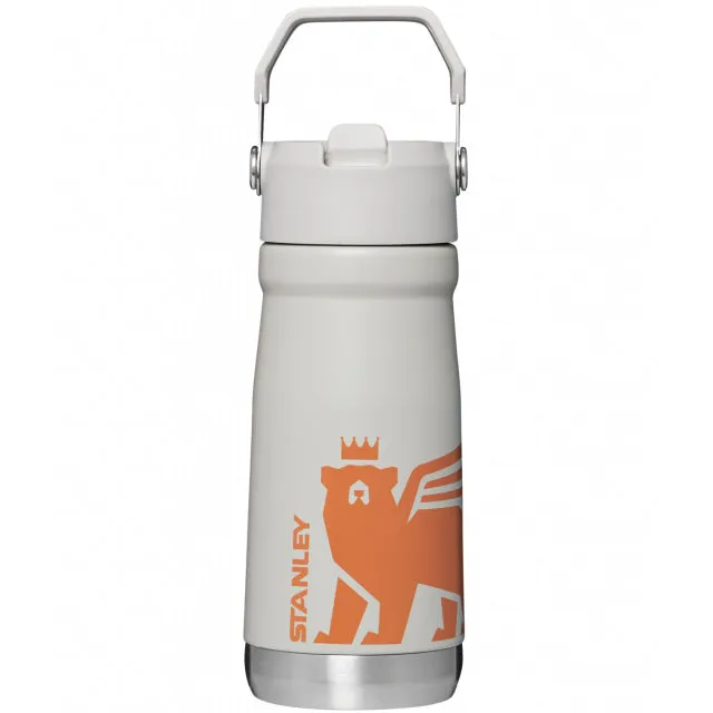 The Iceflow Flip Straw Water Bottle 17 Oz