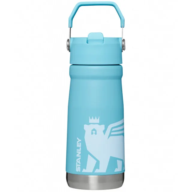 The Iceflow Flip Straw Water Bottle 17 Oz