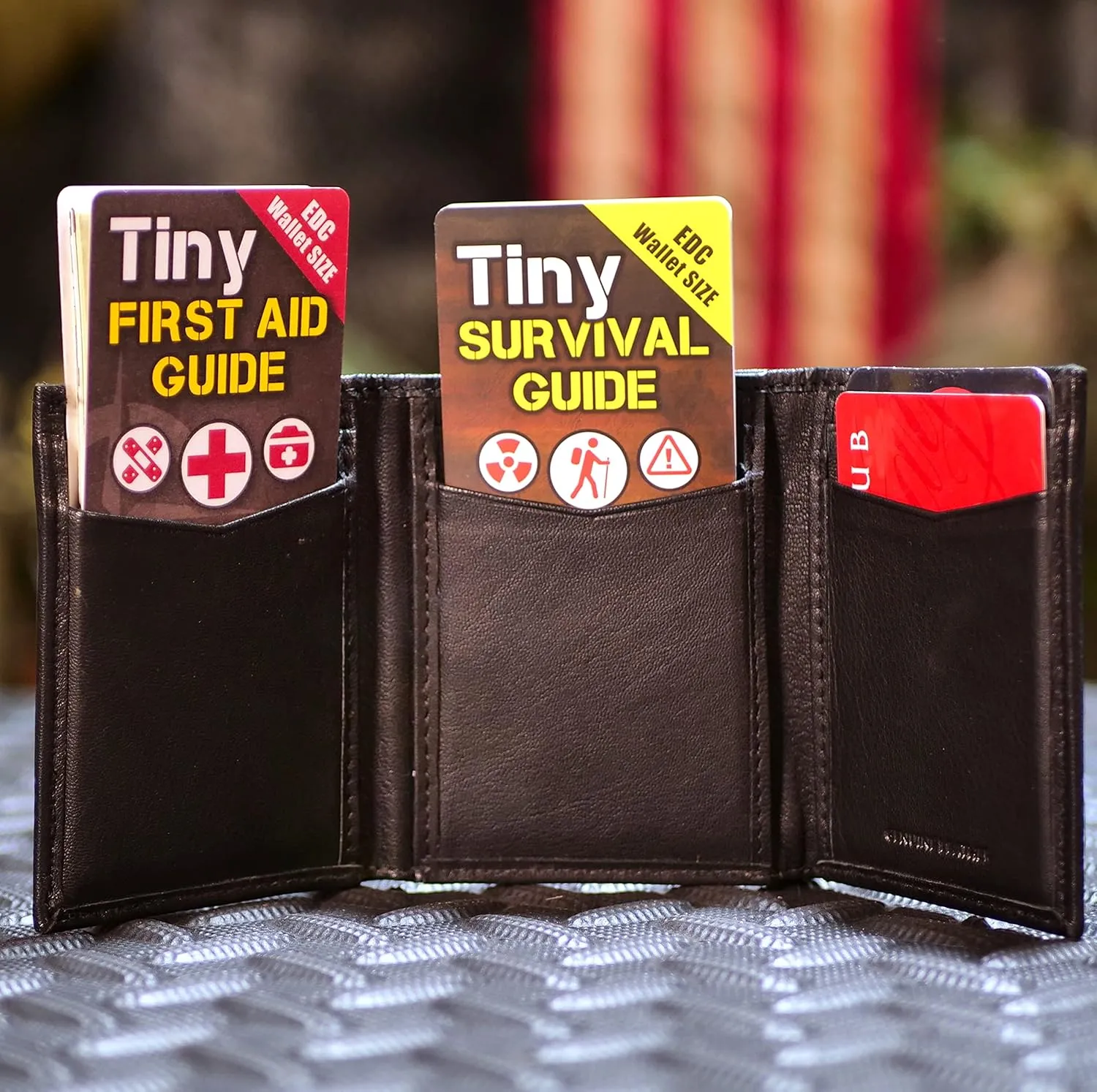 Tiny Survival Guides: A Life Insurance Policy in Your Pocket - The Ultimate “Survive Anything” Everyday Carry: Emergency, Disaster Preparedness Micro-Guide (1 Tiny Guide & 1 Tiny Field Guide)