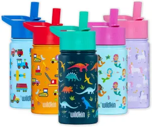 Wildkin Kids 14oz Stainless Steel Water Bottle – BPA-Free, Leakproof, Insulated, Easy-Clean - Jurassic Dinosaurs