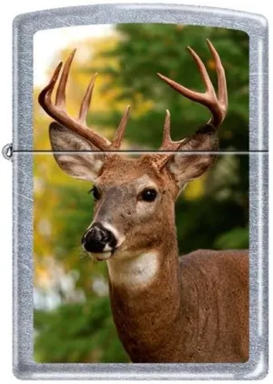 Zippo Deer Buck Head Street Chrome Finish Lighter